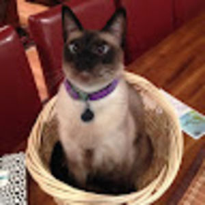 Meet your Posher, Fiona